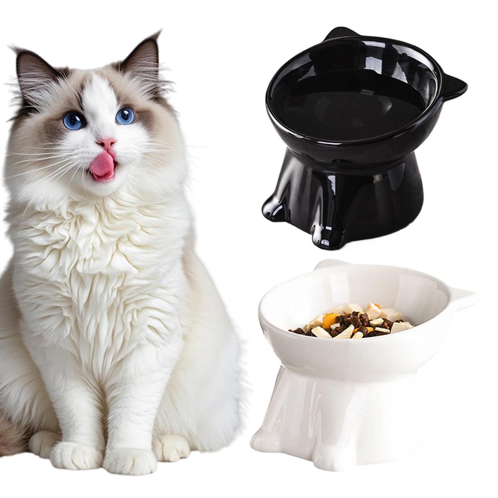 Pet Supplies In Amazon - Black Cat Bowl Amazon Plastic Cat