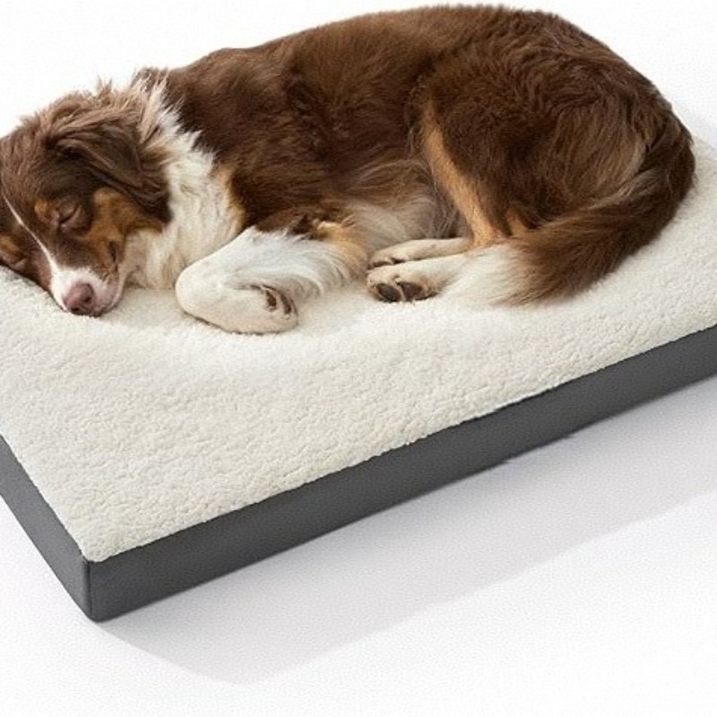 Pet Supplies Dropshipping - Removable Washable Dog Bed Cat Bed
