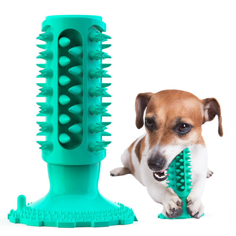 Dog toy with suction cup, soun - Pet Supplies In Amazon recension och pris