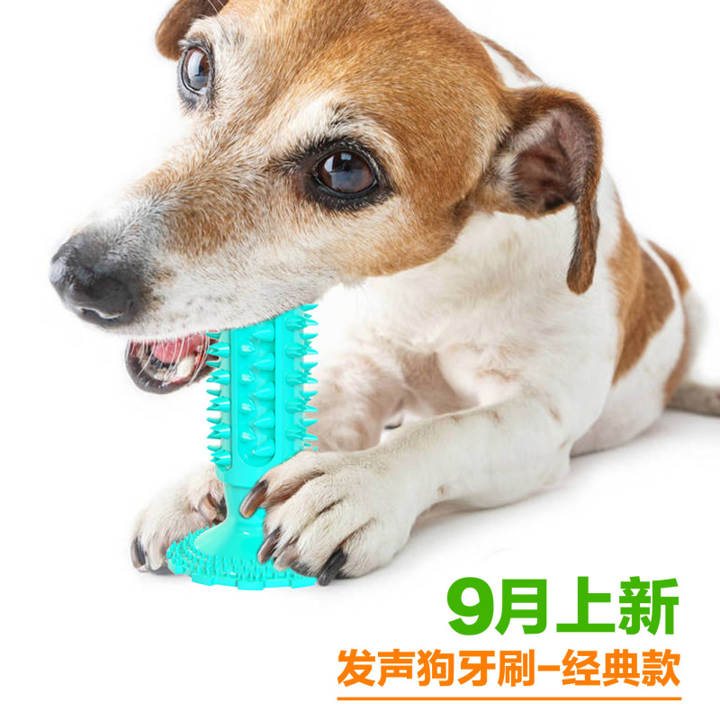 Dog toy with suction cup, soun - Pet Supplies In Amazon recension och pris