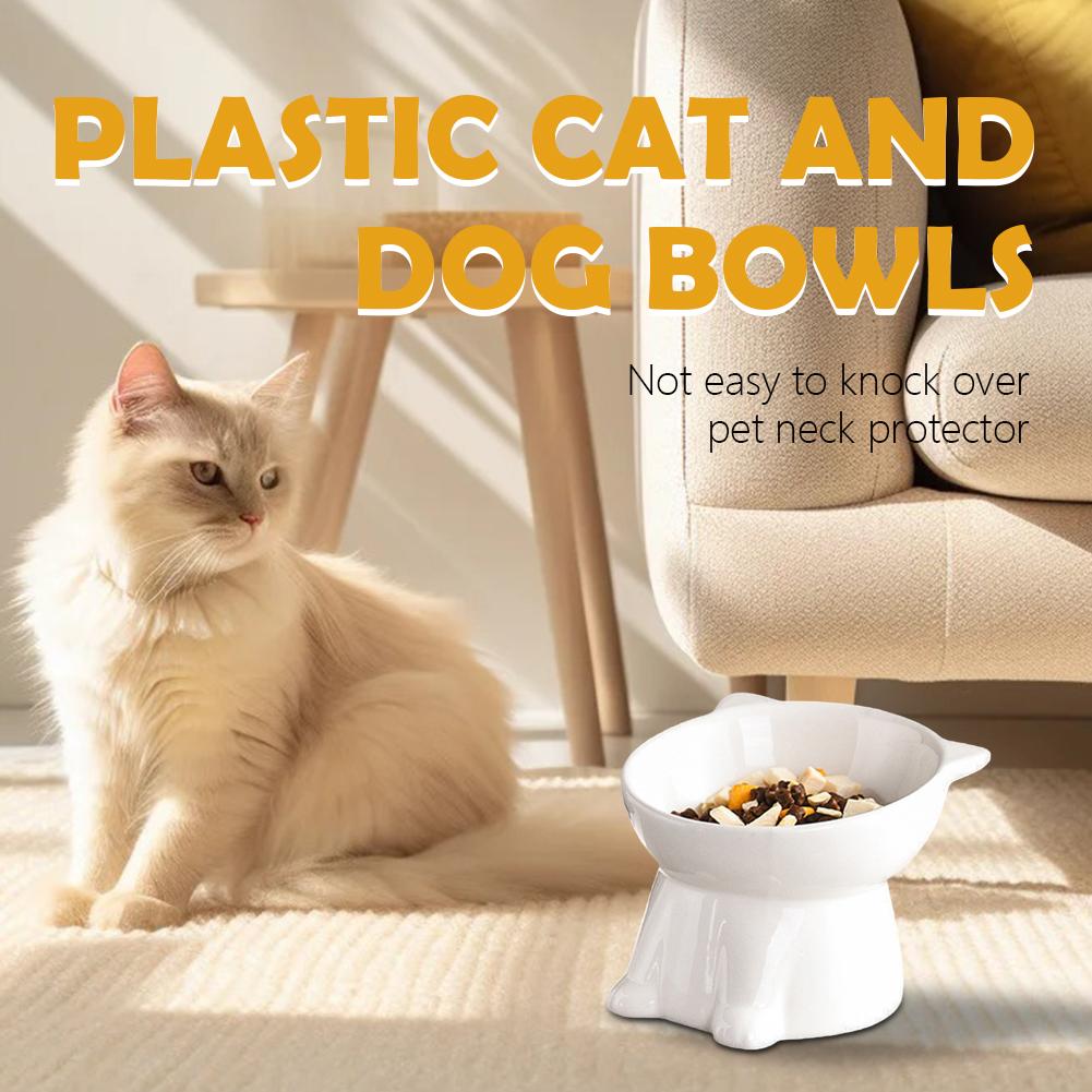 Black Cat Bowl Amazon Plastic  - Pet Supplies In Amazon recension och pris