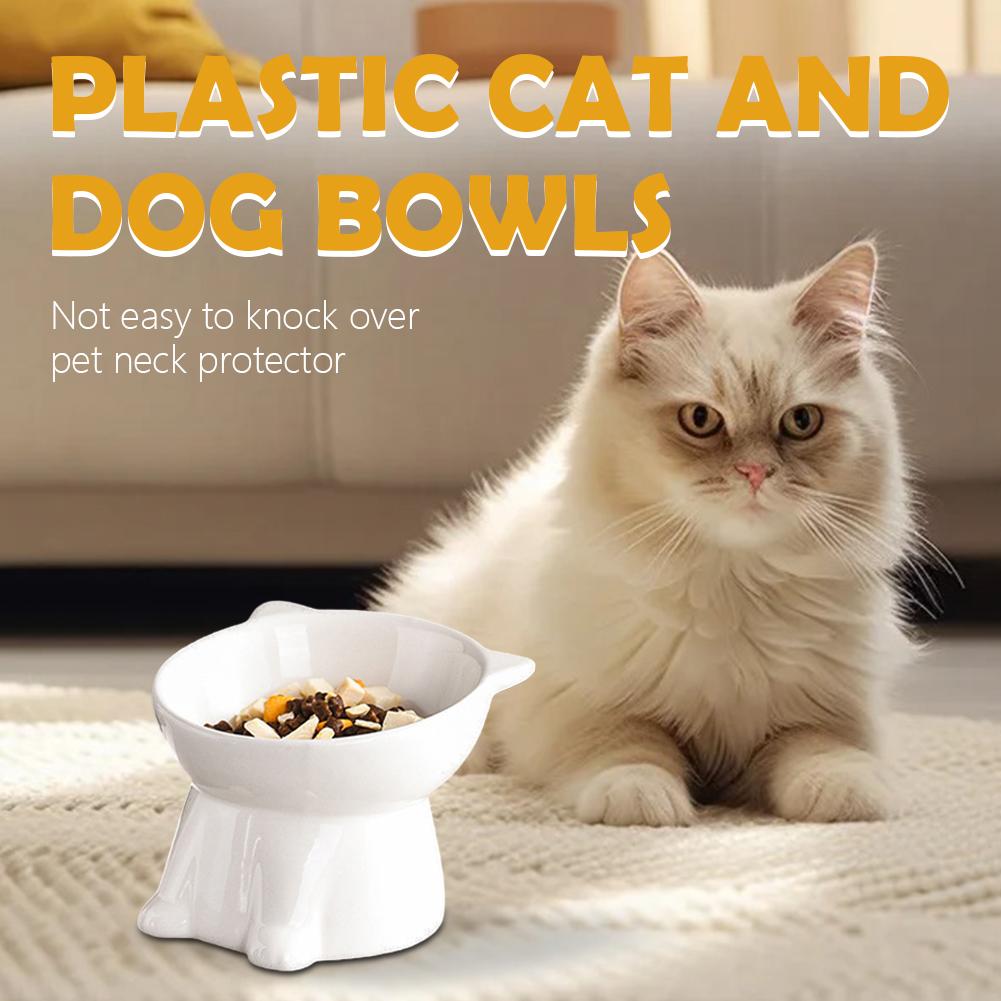 Black Cat Bowl Amazon Plastic  - Pet Supplies In Amazon recension och pris