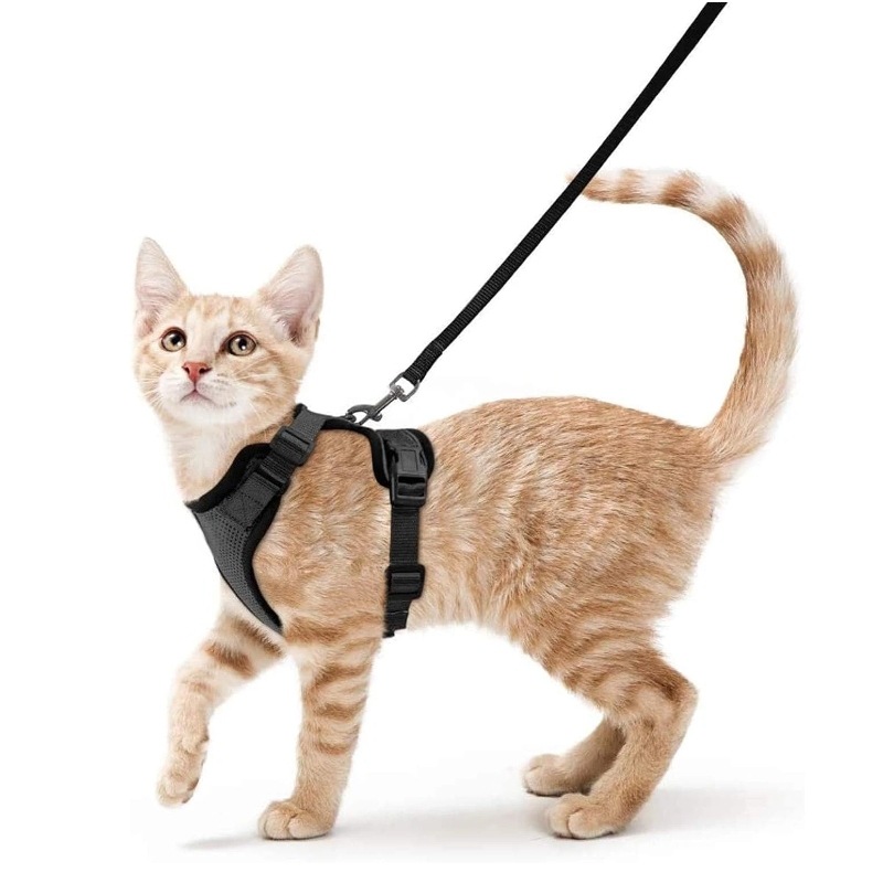 Amazon pet chest strap cat ref - Pet Supplies In Amazon recension och pris