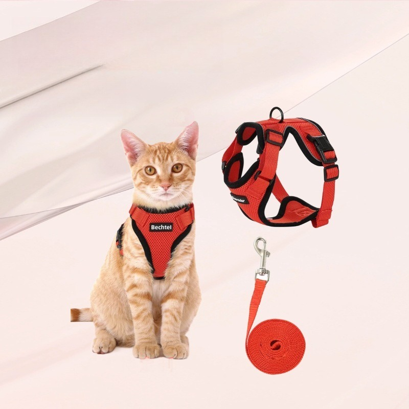 Amazon pet chest strap cat ref - Pet Supplies In Amazon recension och pris