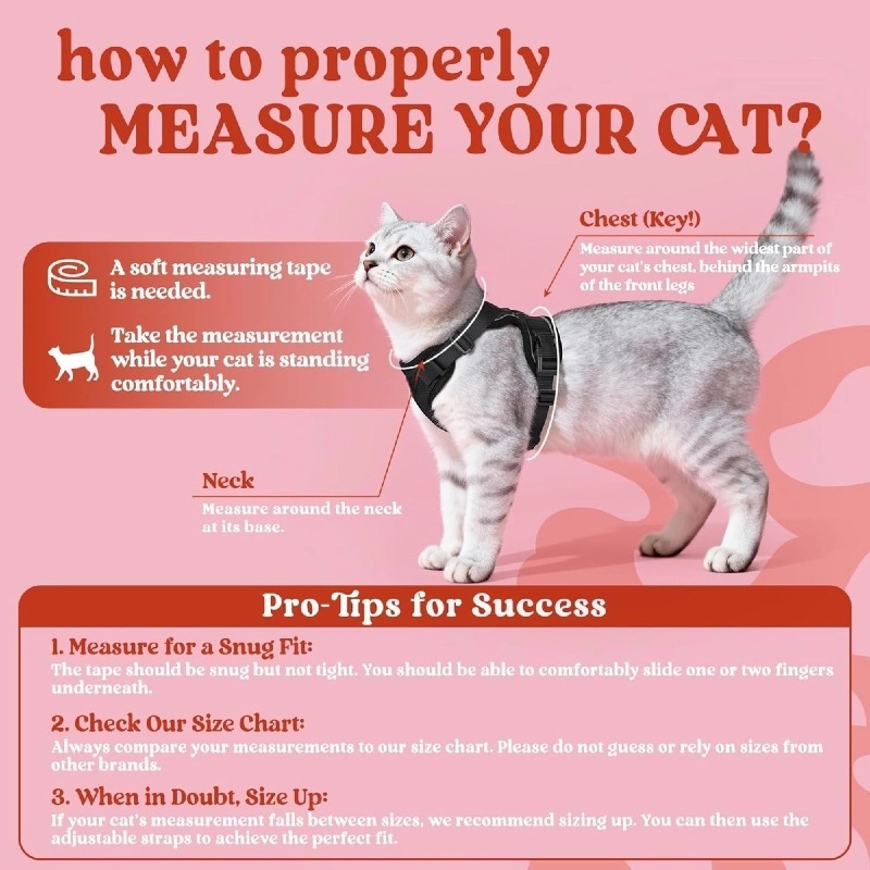 Amazon pet chest strap cat ref - Pet Supplies In Amazon recension och pris