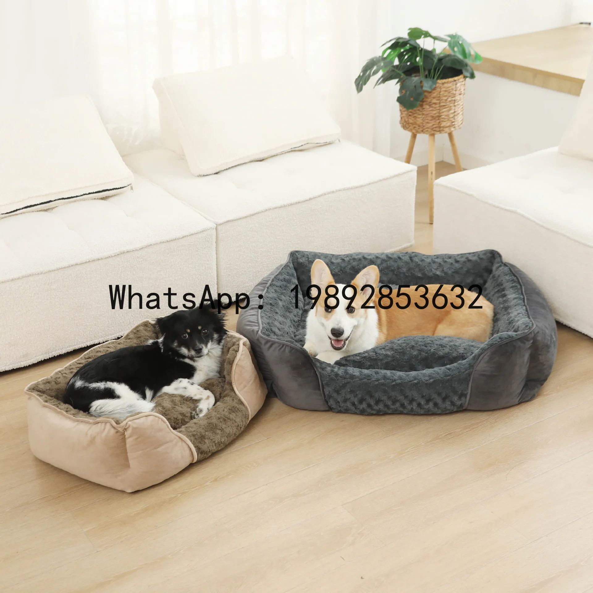 X cat house semi-enclosed dog  - Pet X Supplies & Tack Photos recension och pris