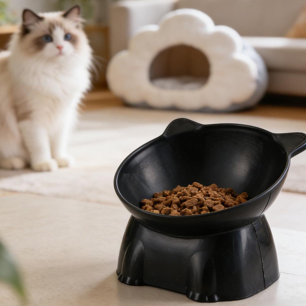 Black Cat Bowl Amazon Ceramic  - Pet Supplies In Amazon recension och pris