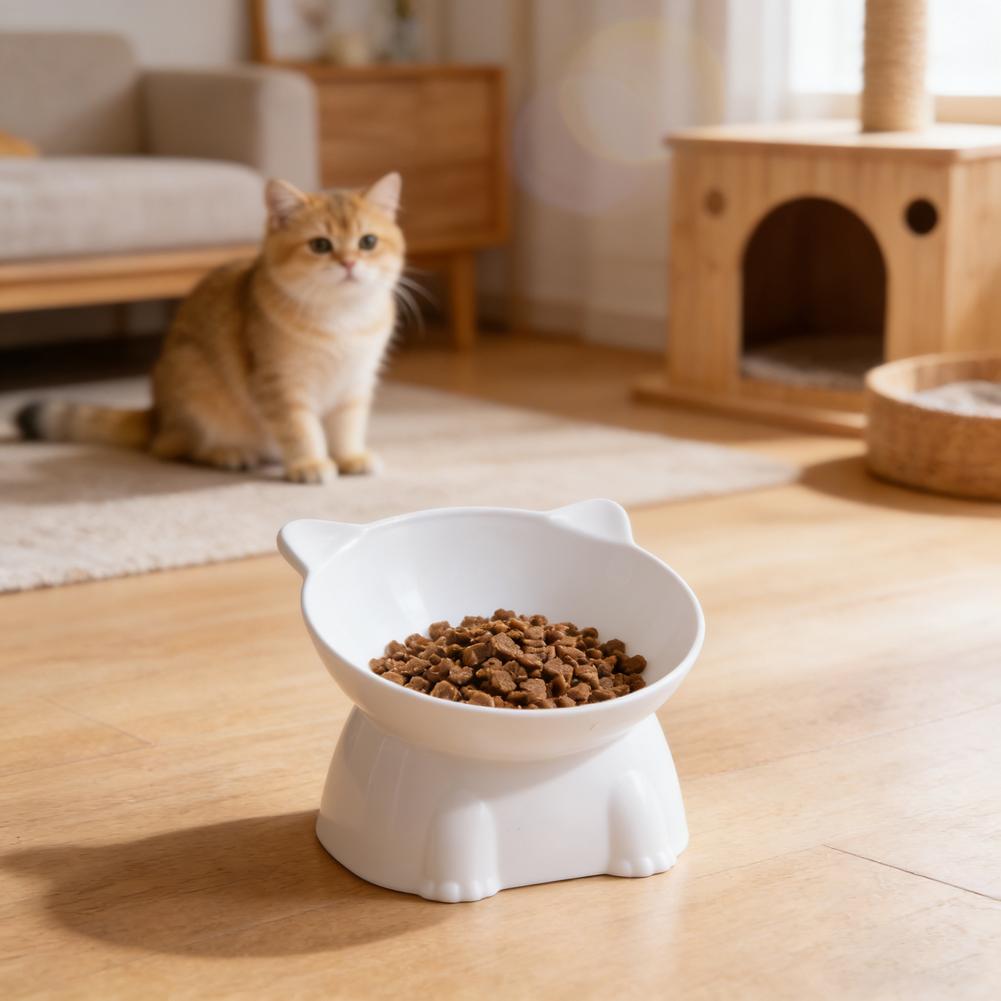 Black Cat Bowl Amazon Ceramic  - Pet Supplies In Amazon recension och pris
