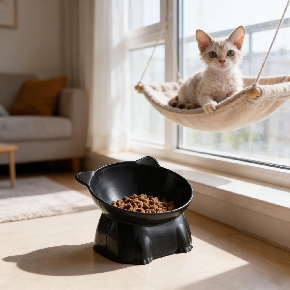 Black Cat Bowl Amazon Ceramic  - Pet Supplies In Amazon recension och pris