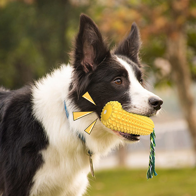 Squeaky Corn Dog Toothbrush Pe - Pet Supplies In Amazon recension och pris