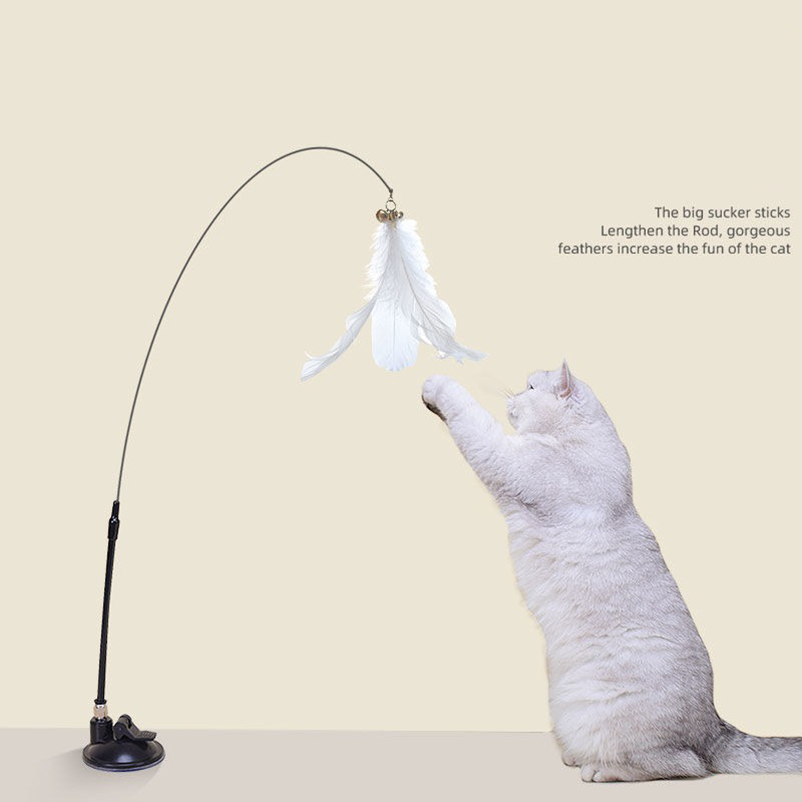 New powerful suction cat-teasi - Pet Supplies In Amazon recension och pris