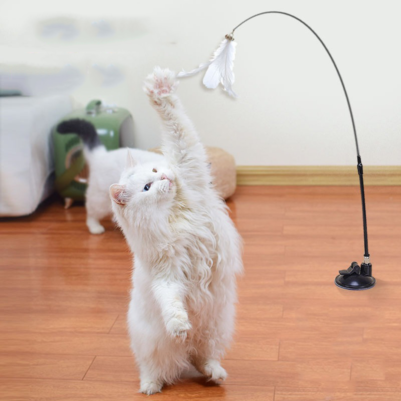 New powerful suction cat-teasi - Pet Supplies In Amazon recension och pris