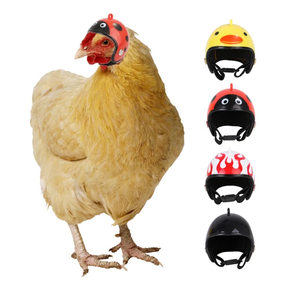 ABS Pet Supplies Funny Pet Pro - Pet X Supplies & Tack Photos recension och pris