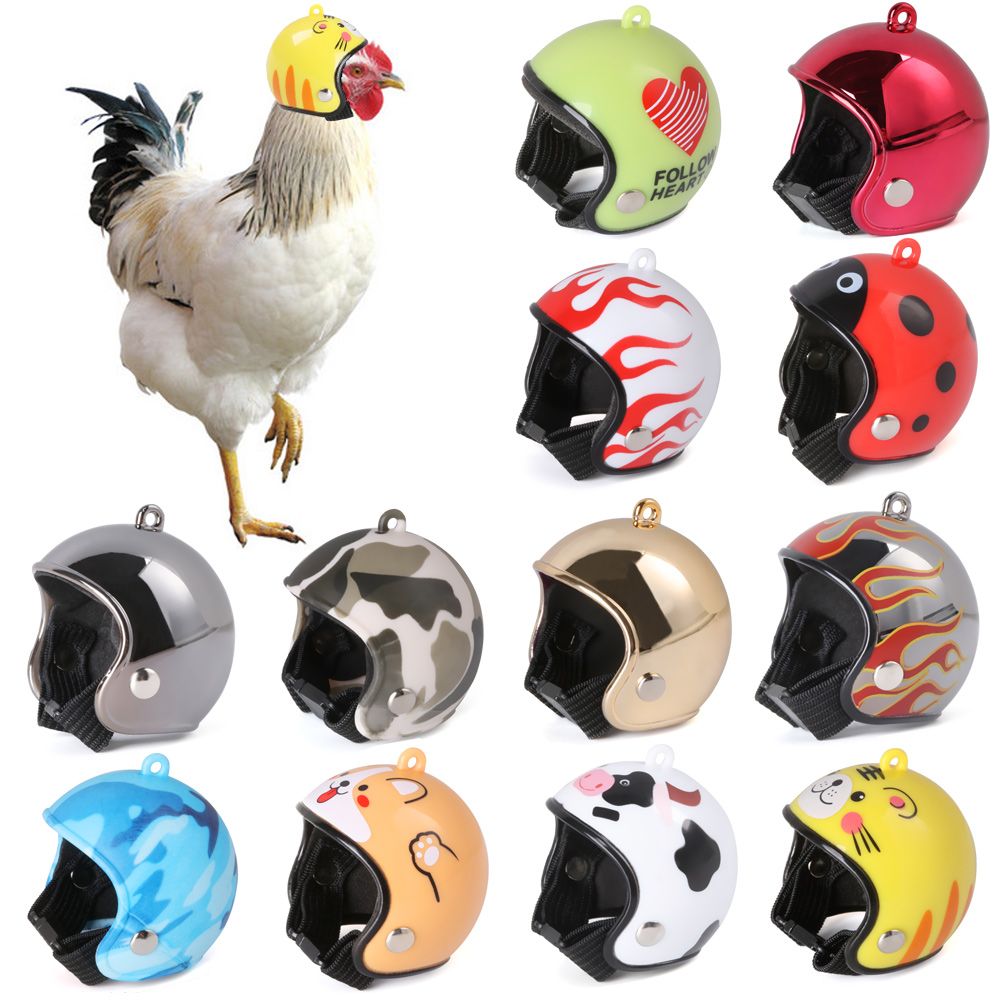 ABS Pet Supplies Funny Pet Pro - Pet X Supplies & Tack Photos recension och pris