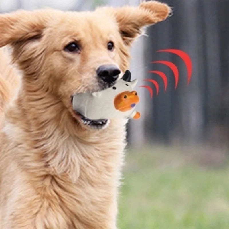 Pet Supplies Amazon Bestseller - Pet Supplies In Amazon recension och pris