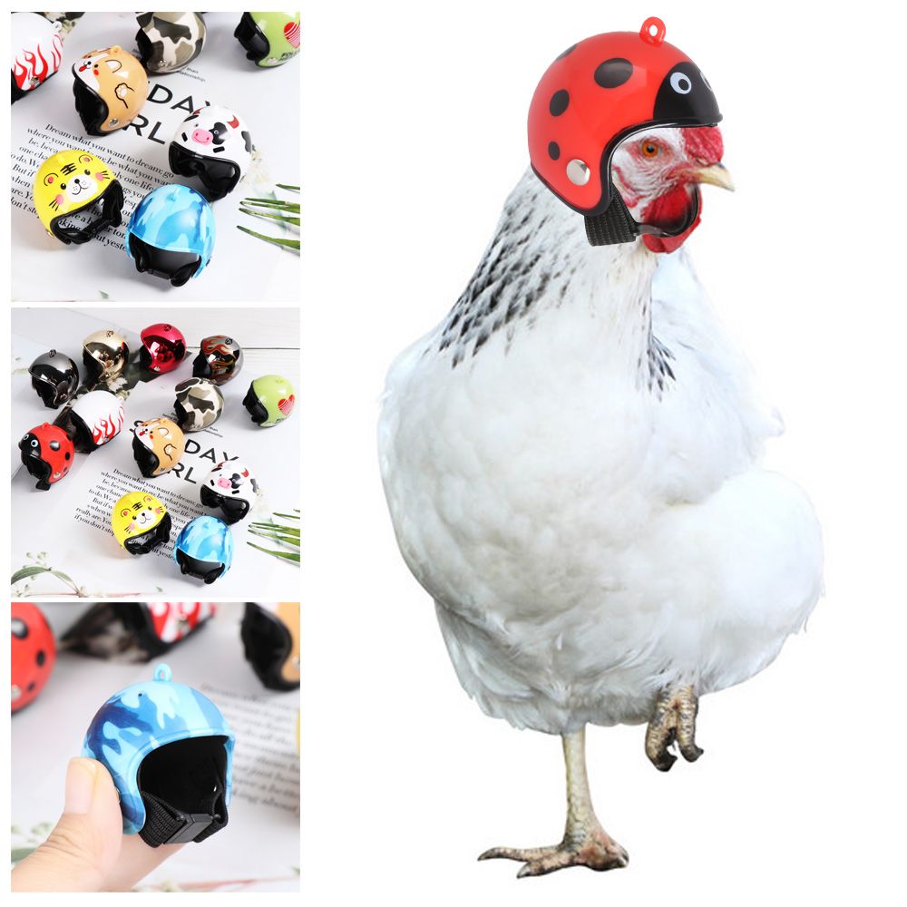ABS Funny Pet Supplies Pet Pro - Pet X Supplies & Tack Photos recension och pris