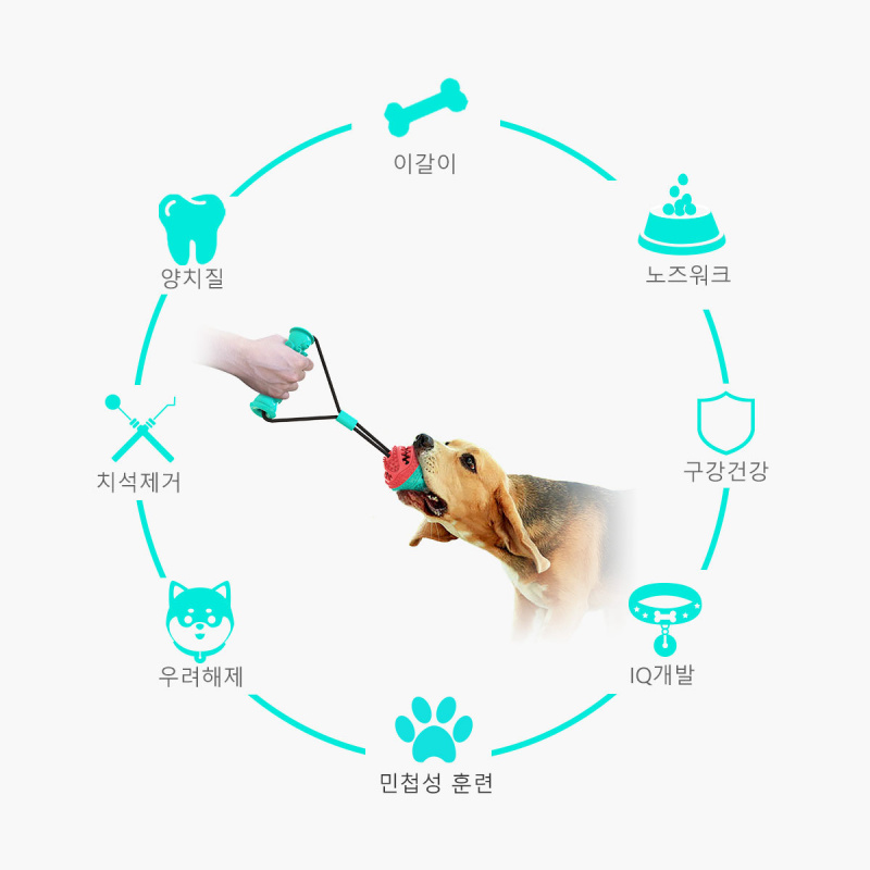 New pet supplies and toy set,  - Pet Supplies In Amazon recension och pris